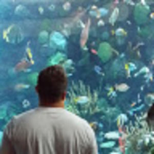 Meet your Posher, Eder adeliel